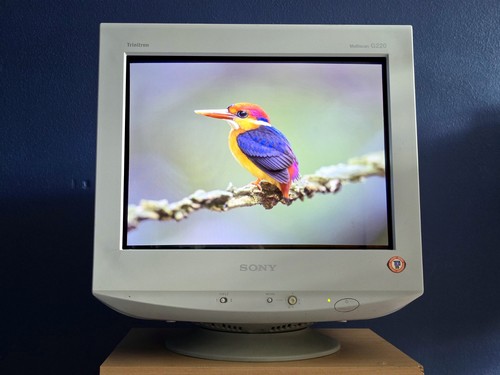 Sony trinitron cpd g220 - trinitron, 17"
